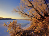 Winter on the Yellowstone River Near Cartwright, North Dakota, USA Photographic Print by Chuck Haney