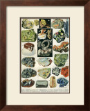 Mineraux I Posters
