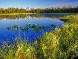 Index Peak Reflects into Mud Lake on the Beartooth Plateau, Wyoming, USA Photographic Print by Chuck Haney