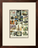 Mineraux II Art