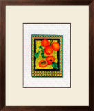 Apricots Arrangement Prints by Tricia Miller