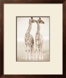 Spirit of Life I Prints