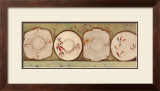 Old Plates Posters by Jo Oakley