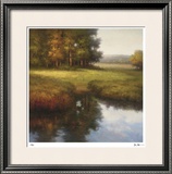 Wooded Glade Limited Edition Framed Print by Li Yong Nam