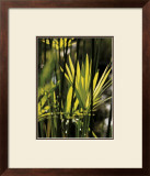 Green Leaves Print by Francois Goudier