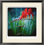 Ballerinas Limited Edition Framed Print by Rebecca Tolk
