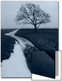 Landscape Photograph, a Winter Scenery in Spanbroek, the Netherlands Print by A.K.A 