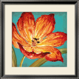 Flame Tulip I Prints by Karen Leibrick