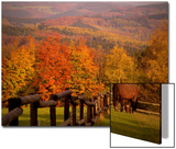 Autumn Scenery with Horses Grazing and Corral, Germany Pósters por A.K.A Autumn Scenery with Horses Grazing and Corral, Germany Pósters por A.K.A