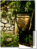 Still Life Composition in Nature with Wheelbarrow Poster by Claire Morgan