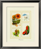 Summer Posters by Santa 