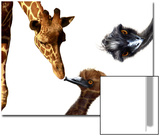 Giraffe, Emu and Offspring Prints by Abdul Kadir Audah