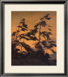 Pine Island, Georgian Bay Art by Tom Thomson