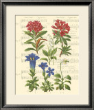 Allegro I Prints by Irene Paschal