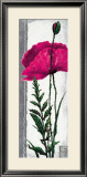 Poppy Bloom II Posters by Nina Konig
