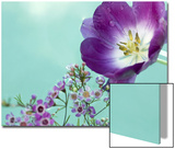 Flowers Floating in Water Art by April Bauknight