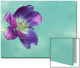 Flower Floating in Water Posters by April Bauknight