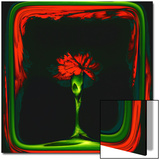 Red Carnation Formalized in a Frame Prints by Winfred Evers