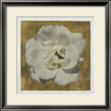 Golden Bloom I Posters by Megan Meagher