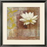Global Brilliance II Prints by Danielle Nengerman