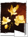 Three Freesia Poster by A.K.A 