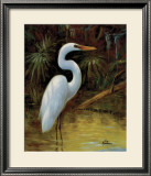 Tropical Egret I Art by Kilian 