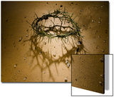 Crown of Thorns with Large Shadow and Pieces of Rock Posters por J.H. Crown of Thorns with Large Shadow and Pieces of Rock Posters por J.H.