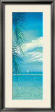 Tropic Garden I Posters by Howard Page