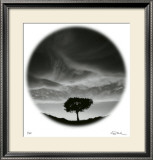 Sunlit Tree Limited Edition Framed Print by Ken Paul