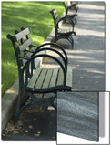 Park Benches Lined Up in a Row Art by A.S. 