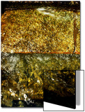 Water Running over Rocks Posters by Claire Morgan