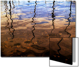 Reflections of Boat Masts in a Lake Posters by Claire Morgan
