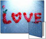 Rose Protrudes from Rose Petal Message Posters by Emiko Aumann