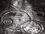 Raindrops Falling Formering Circular Shapes Art by R.R. 