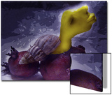 Human Form Emerging from Shell Print by E.A. 