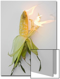 Corn on Fire Prints by T.S. 