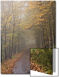 Rural Road in Autumn at Dawn, Vermont Prints by John Churchman