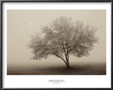 Forever Spring Print by Igor Svibilsky
