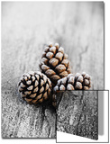 Frosted Pine Cones on Rustic Wooden Table Posters by James Guilliam