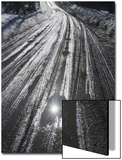 Muddy Wet Road Reflecting the Sunlight Poster by John Churchman