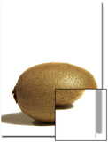 Kiwi Fruit on White Background Posters by Tina Chang