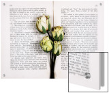 Dried Roses on Old Book Print by N.O. 