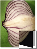 Close-Up of Half of a Red Onion Art by T.C. 