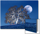 Oak Tree and Moonrise Prints by D.M. 