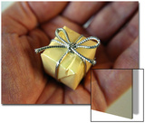 Tiny Present in a Mans Palm Posters by E.S. 