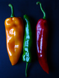 Peppers, Yellow, Green and Red, Side by Side Art by I.W. 