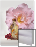 Still Life of Bottles and Roses Posters by Diane Miller