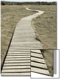 Boardwalk across a Tidal Marsh Leading to a Wooden Area at a Wildlife Sanctuary Posters by John Nordell
