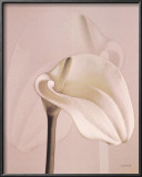 Lily Art by Judy Mandolf