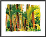 Dancing Bamboo Posters by Maureen Love